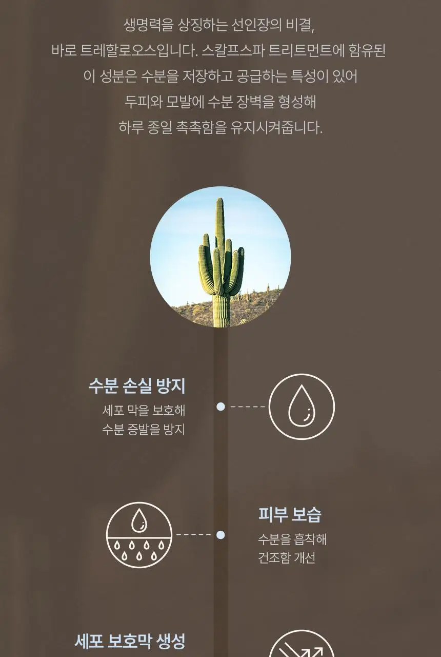 [신규런칭/극손상모개선] 이드르르 스칼프스파 트리트먼트 390ml 상세페이지 53